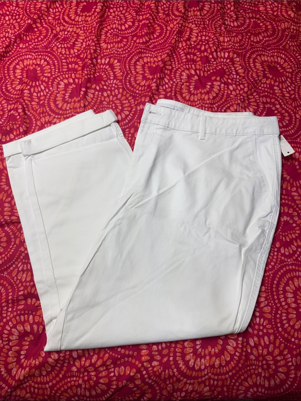 Amazon Essentials Women's White Chinos